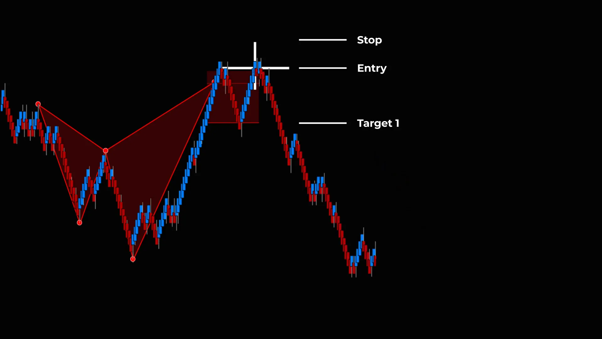 Targeting illustrated: front of the shark labeled as primary target