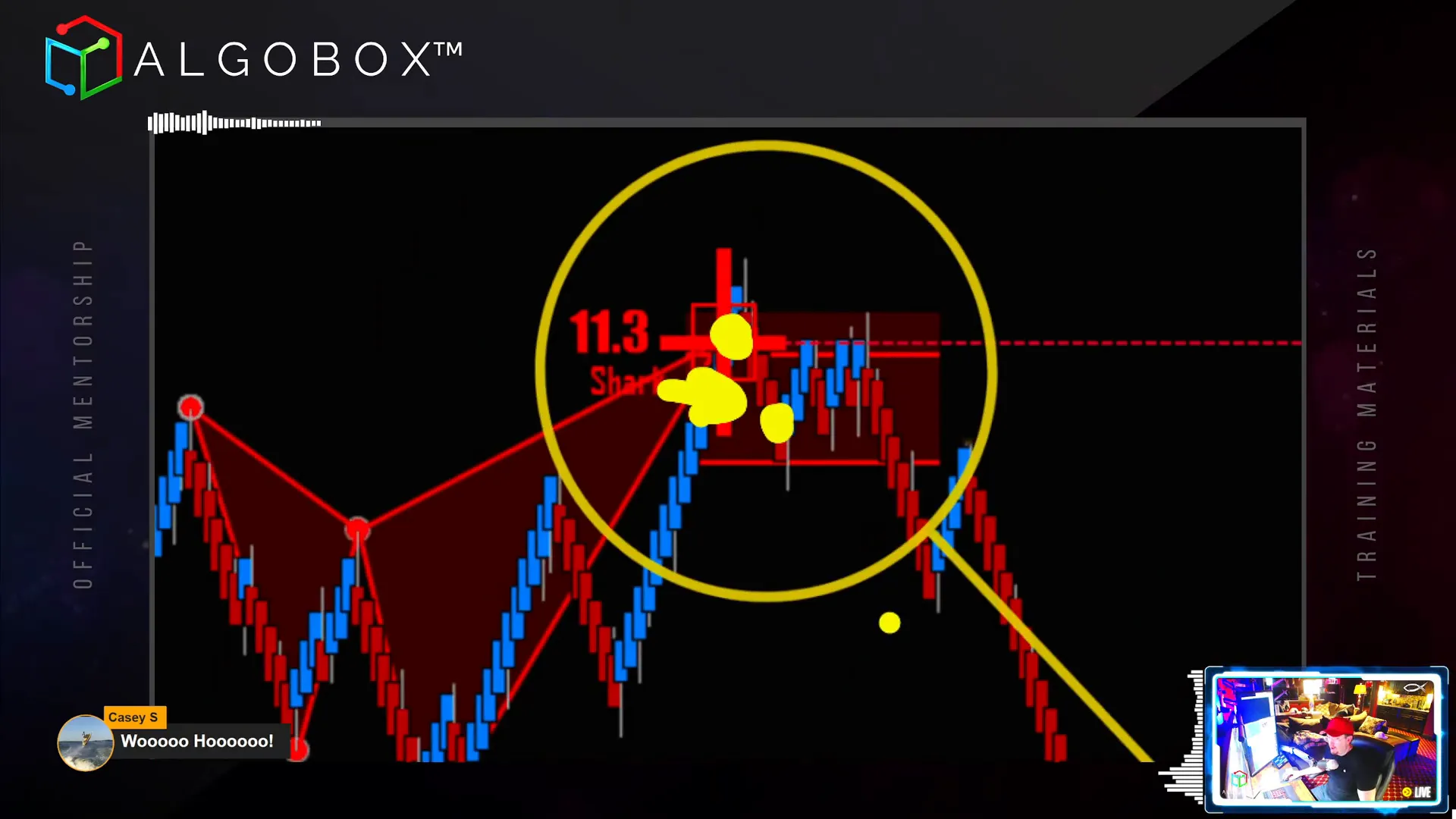 Trading advice on managing positions against NERD and Arrow signals