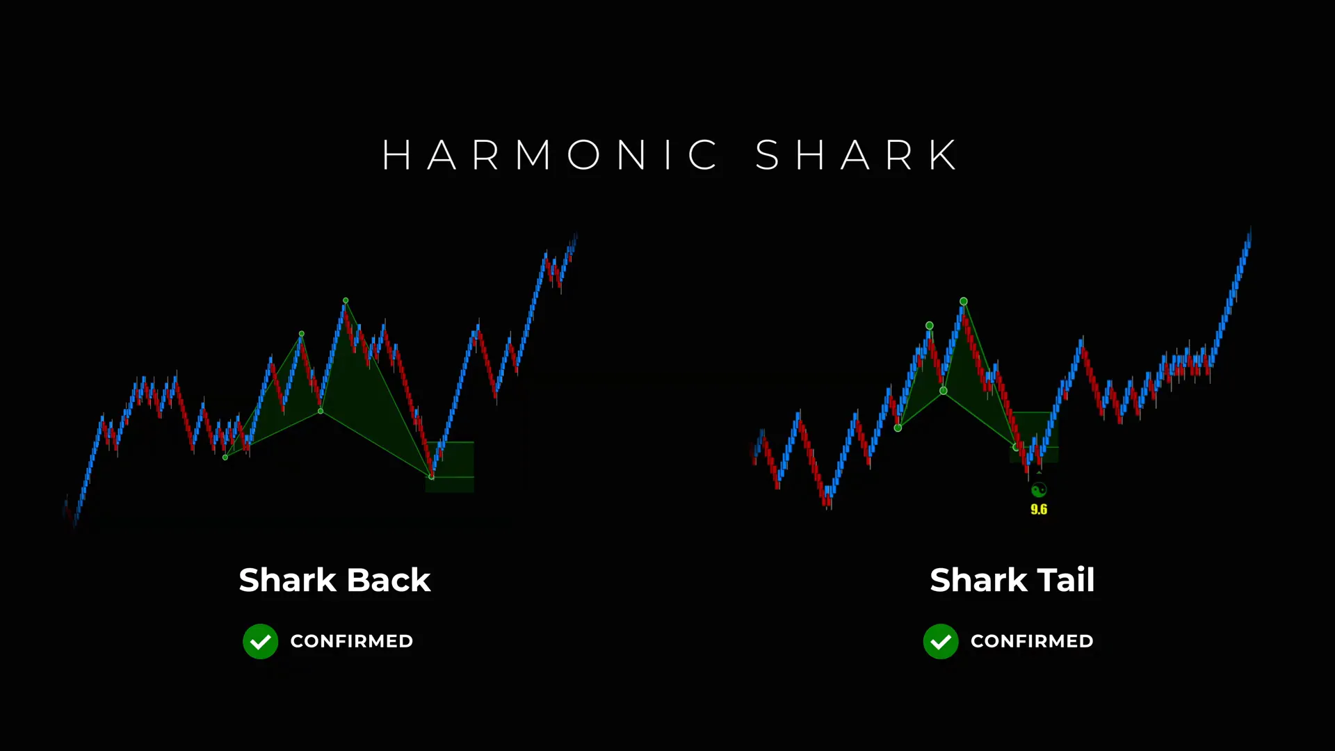 Final summary graphic: shark back and shark tail workflow