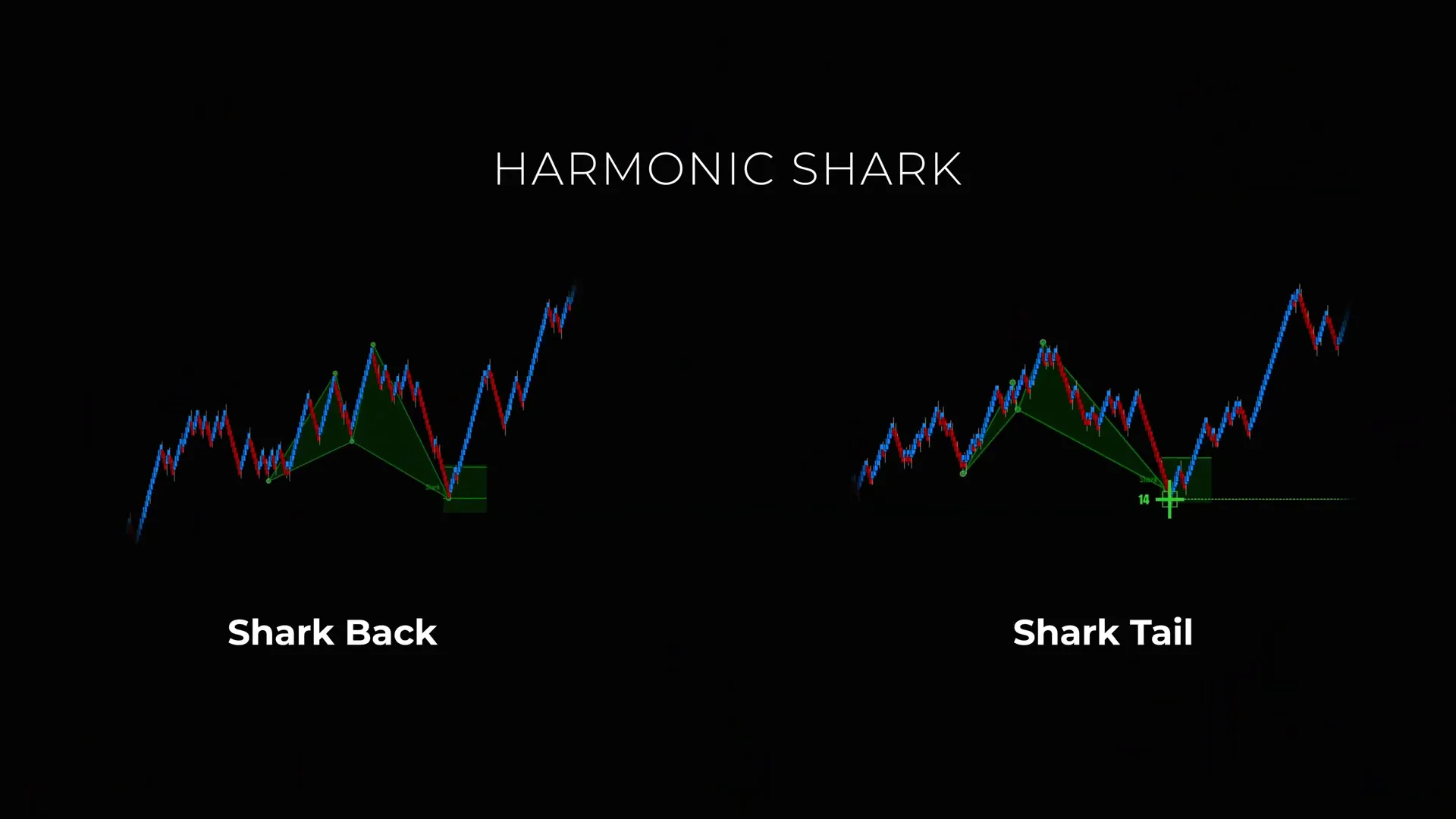 AlgoBox and NinjaTrader layout showing Shark Back and PRZ on a futures chart