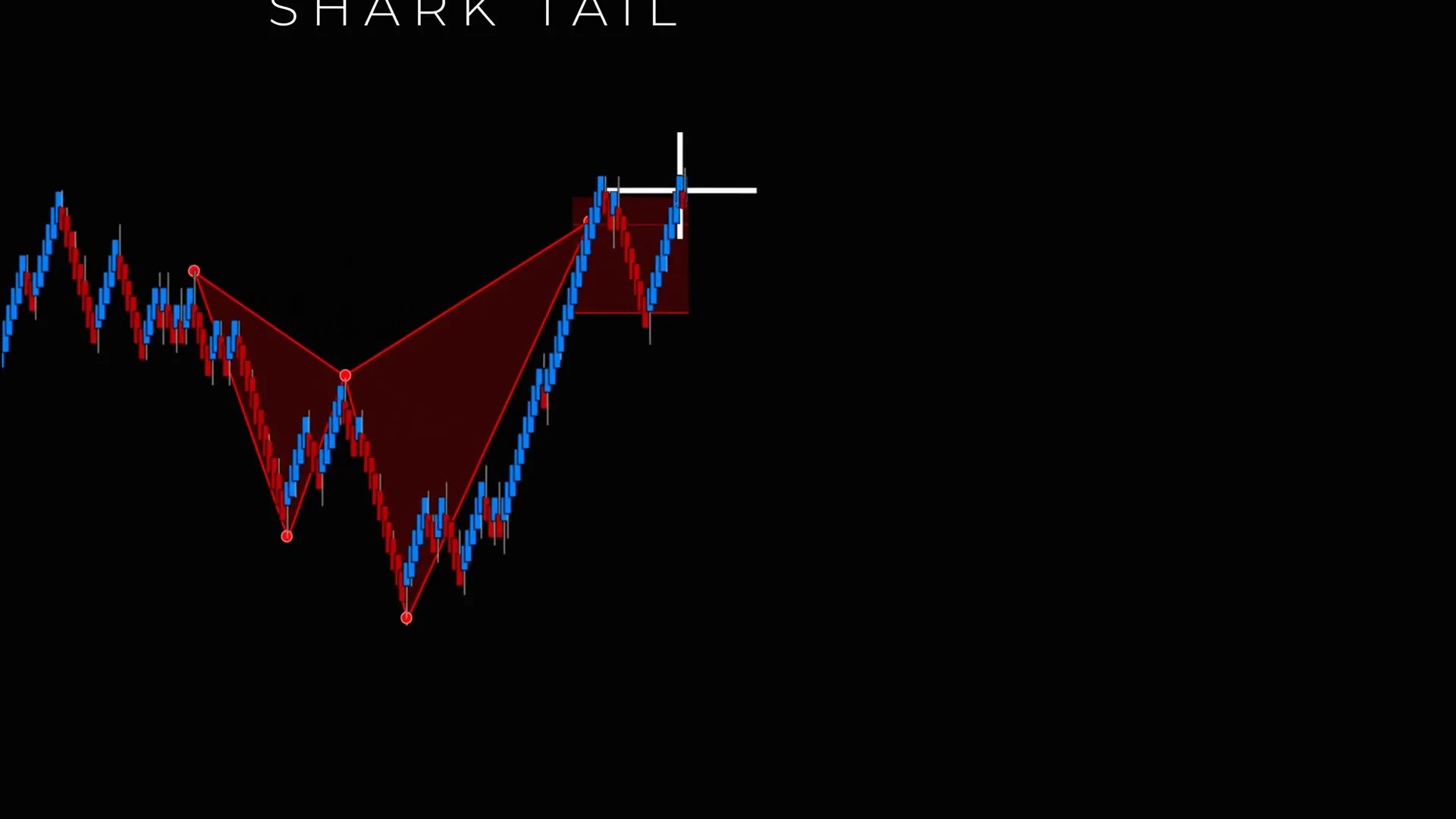 Example sequence of Shark Back entry, stop-out, then Shark Tail confirmation and trade