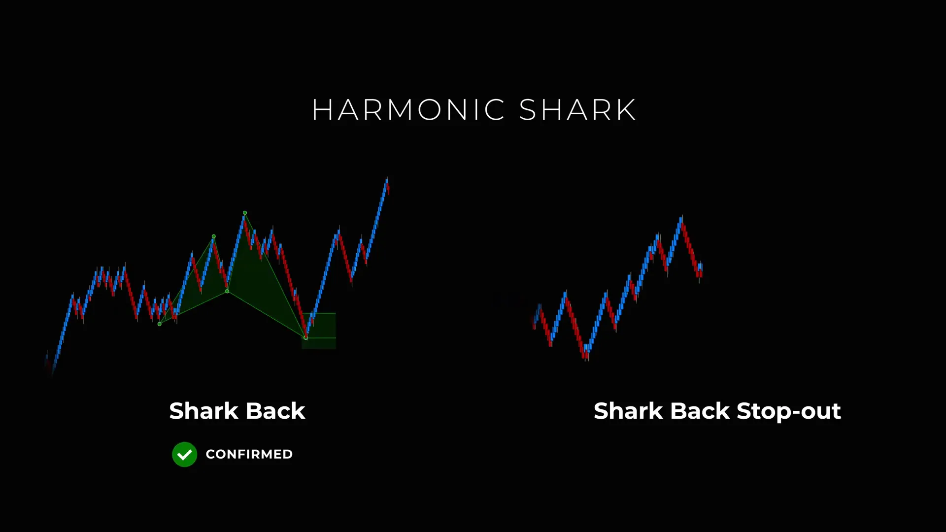 Trader staying composed after a Shark Back stop out, watching for Shark Tail