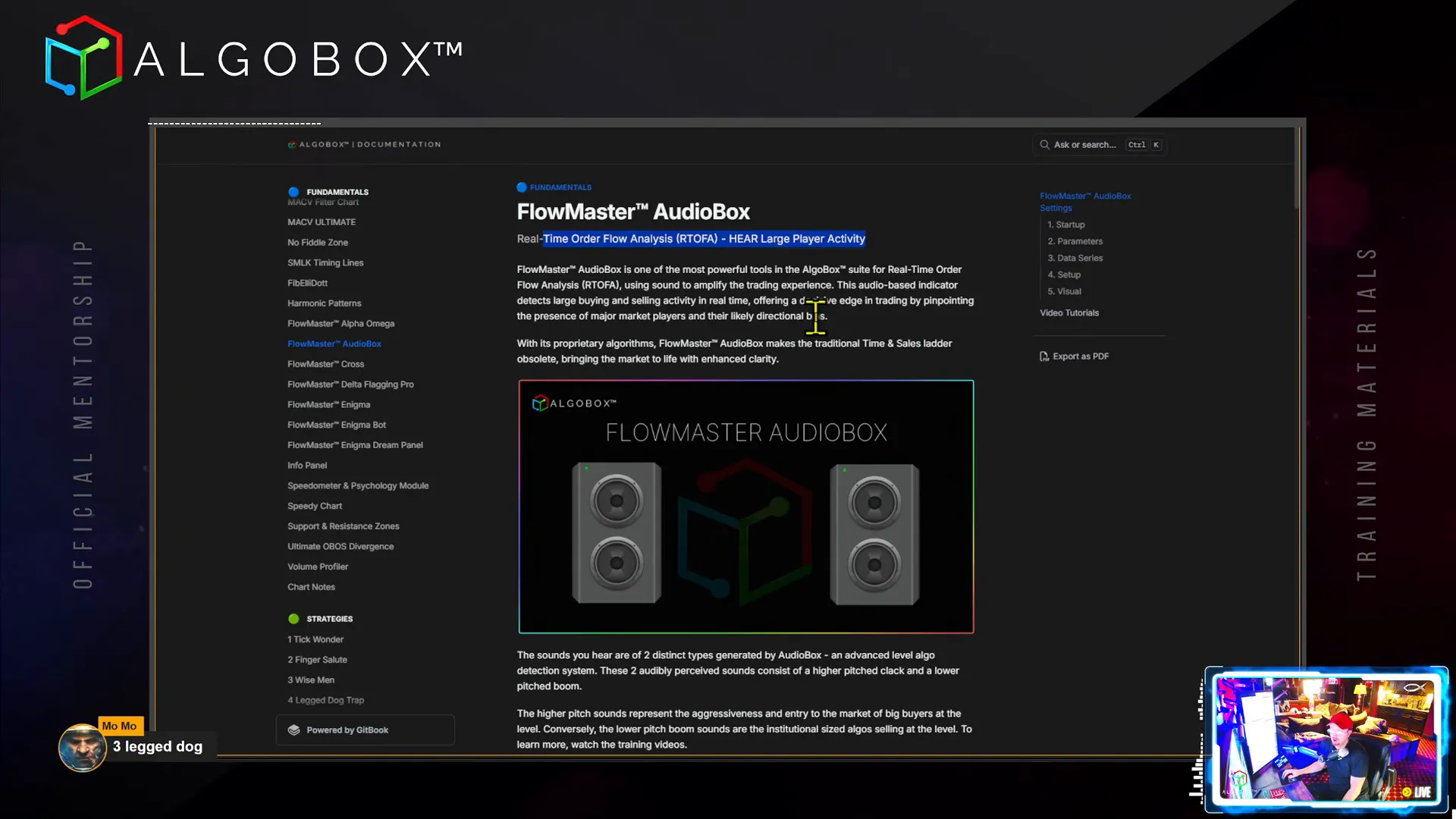 Flowmaster AudioBox audio indicator enhancing order flow awareness