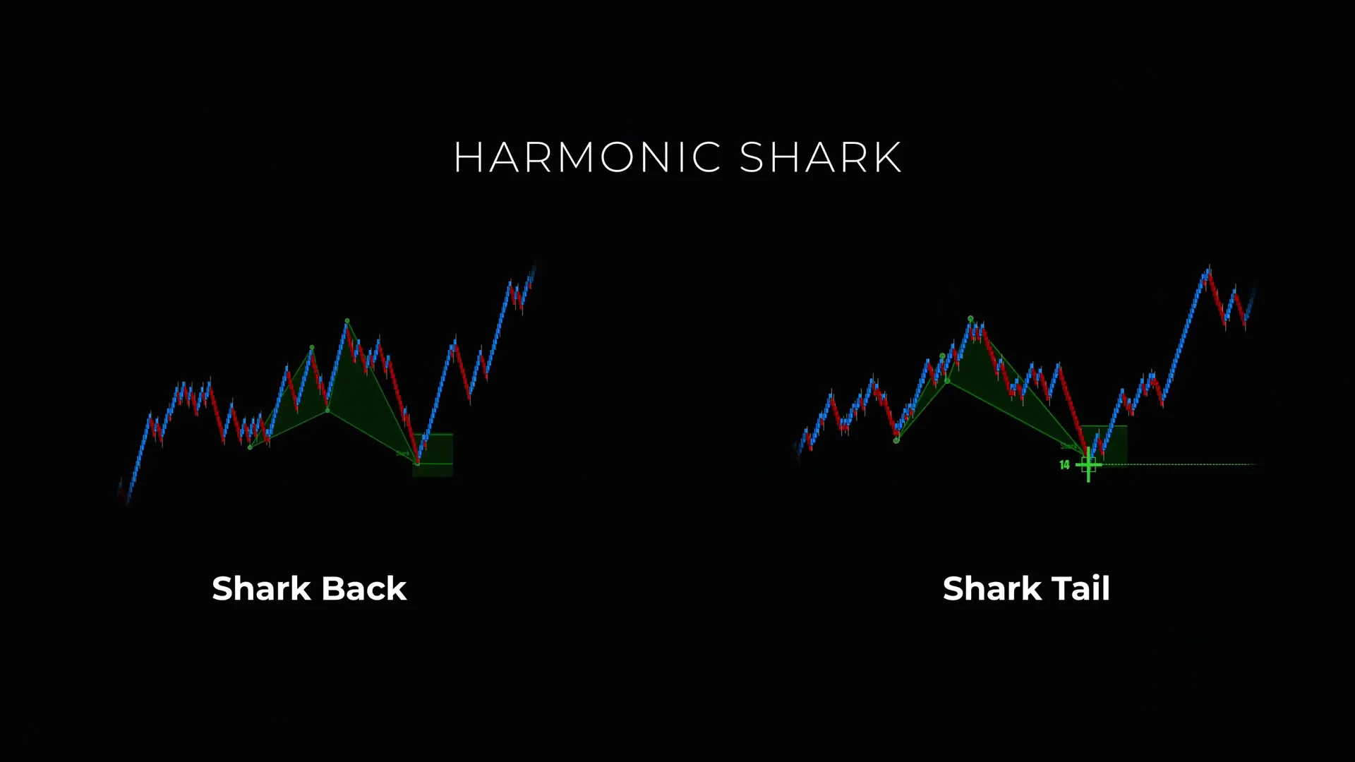 Illustration of a PRZ box and harmonic pattern geometry