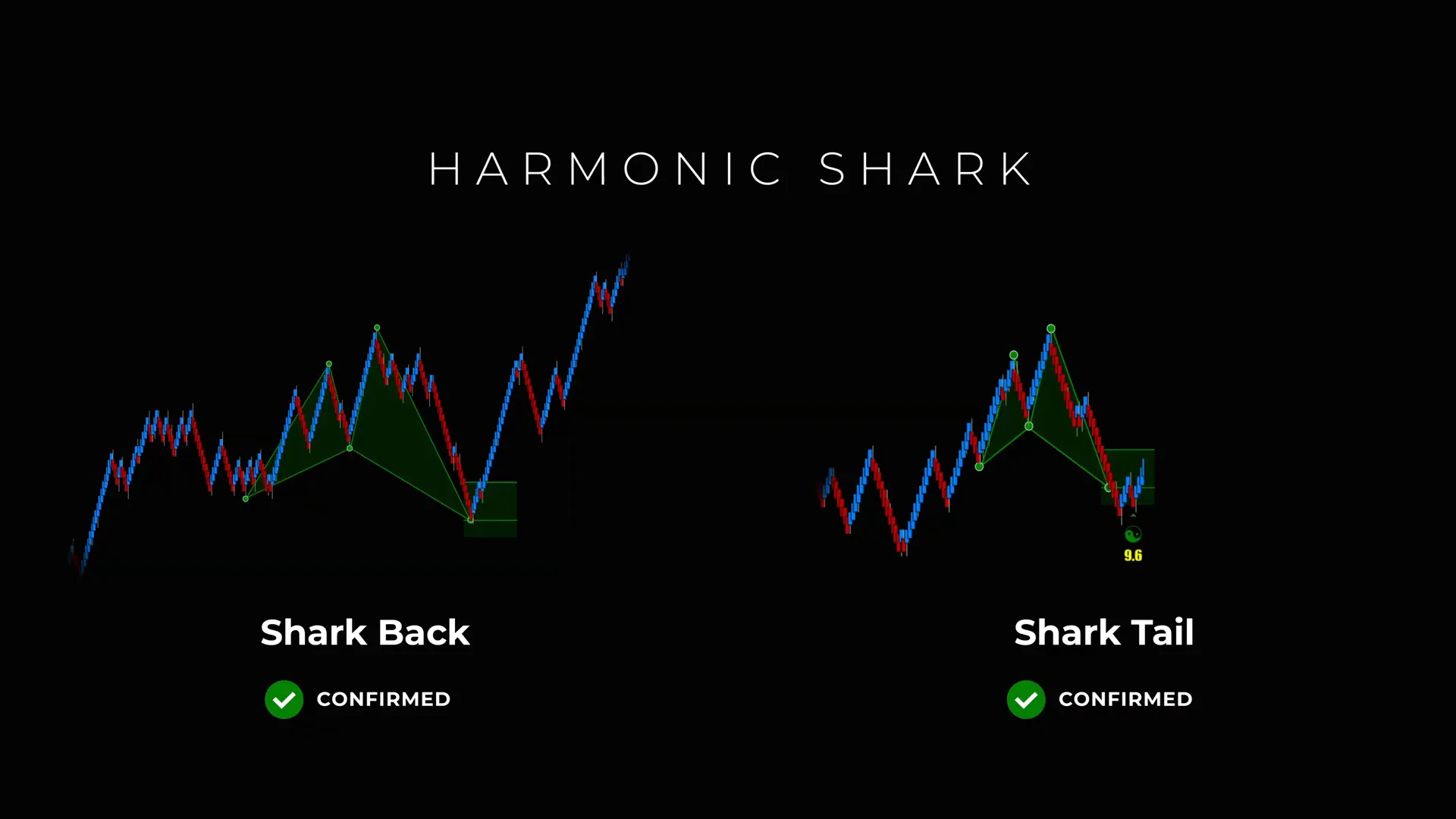 Two-Try Rule diagram showing Shark Back then Shark Tail opportunity